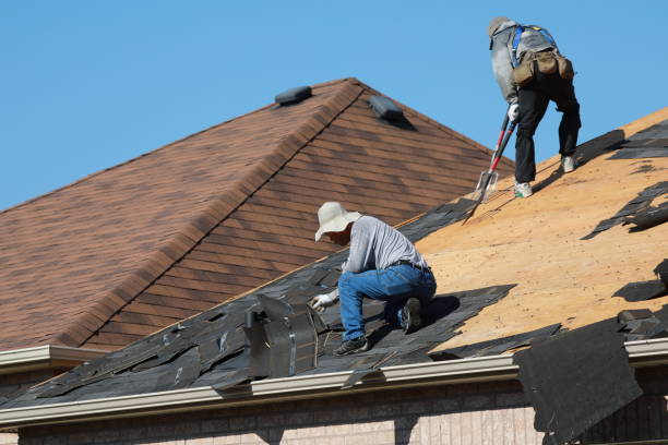 Best Wood Shake Roofing  in Alexandria, KY