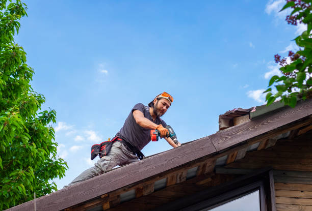 Best Hot Roofs  in Alexandria, KY